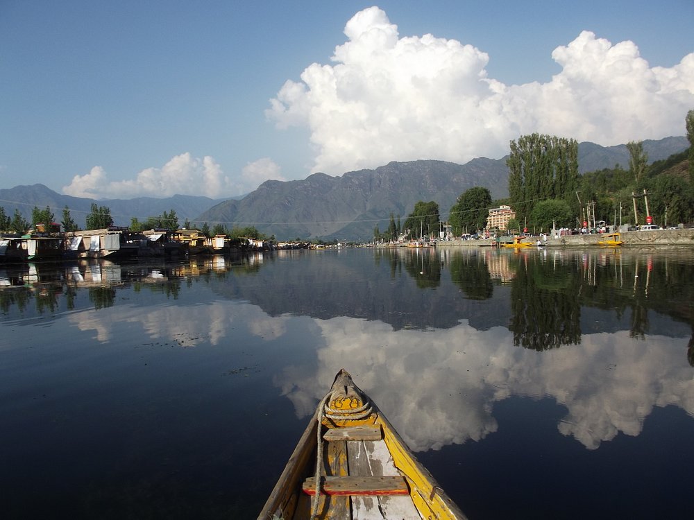 A vibrant shikara on Dal Lake
